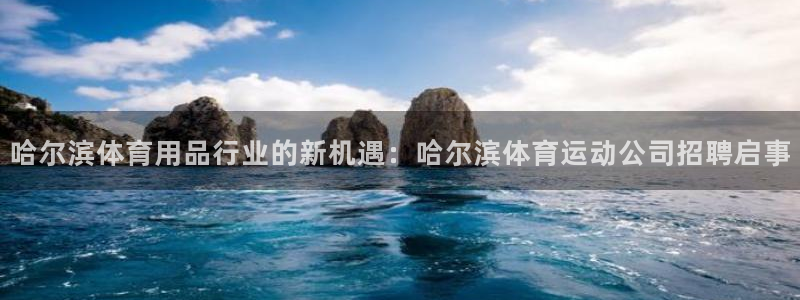 熊猫体育公园