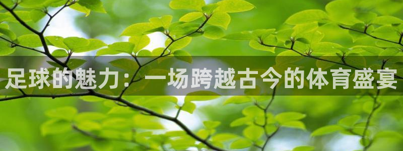 熊猫体育app下载安装