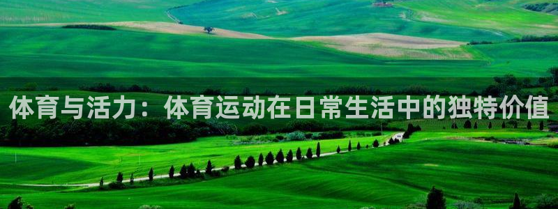 中山熊猫体育