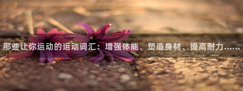 熊猫体育手机版