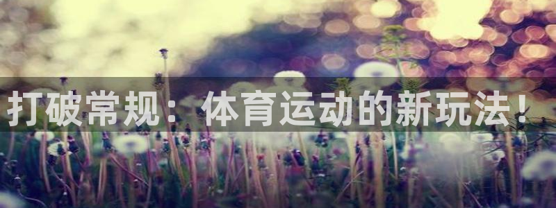 熊猫体育直播
