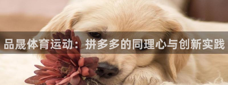 熊猫体育免费下载