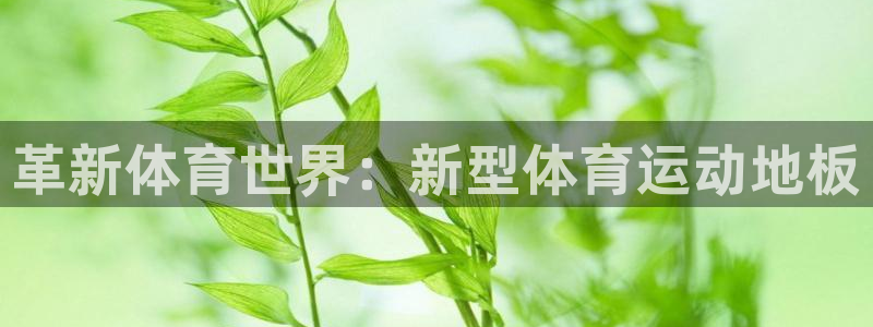 熊猫体育nba