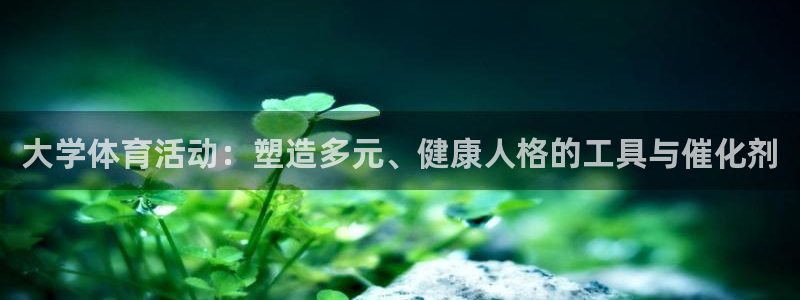 熊猫体育怎么样